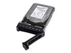 Hard diskovi za servere –  – 400-AJPE