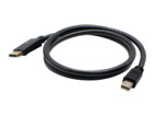 Peripheral Cables –  – MINIDP2DPMM6