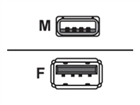 USB laidas –  – 128851