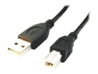 Καλώδια USB –  – CCP-USB2-AMBM-6