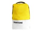 Custodie per Notebook –  – PT-BK102Y