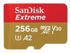 Κάρτες flash –  – SDSQXAV-256G-GN6MA