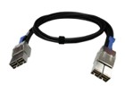 SAS Cables –  – CAB-PCIE10M-8644-8X