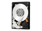 Internal Hard Drives –  – IB500001I849