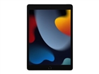 Tablet / Handheld –  – MK493TY/A