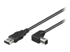 Câbles USB –  – USBAB2ANGLED