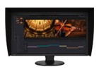 Arvutimonitorid –  – CG3100X