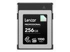 Flash Cards –  – LCXEXDM256G-RNENG