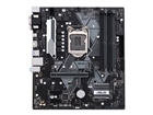 Placas Base (para Procesadores Intel) –  – PRIMEB365M-A