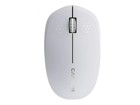 Mice –  – CNS-CMSW04W