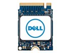 SSD, Solid State Drives –  – SNP223G43/256G