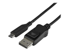 Κάρτες γραφικών DisplayPort –  – CDP2DP141MB