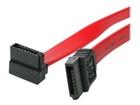 SATA Cables –  – SATA12RA1