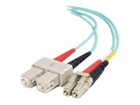 Patch Cables –  – 852-L42-006