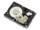 Internal Hard Drives –  – 400-ADJW