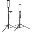 Studio Light –  – DPS-TPL-200