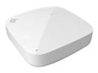 Wireless Access Point –  – AP305C-1-WR