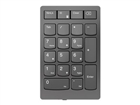 Numeric Keypad –  – 4Y41C33791