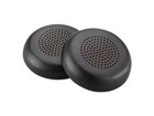 Headphones Accessories –  – 85Q63AA