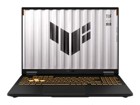 Gaming Notebooks –  – FX608JH-RV002W