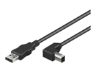 Câbles USB –  – USBAB3ANGLED