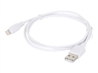 Kabel Khusus –  – CC-USB2-AMLM-2M-W