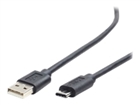 USB Kablolar –  – CCP-USB2-AMCM-6