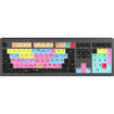 Keyboards –  – LKB-PT-A2M-US