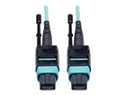 Patch Cables –  – N844-10M-12-P
