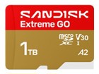 Flash Cards –  – SDSQXGN-1T00-GN6MN