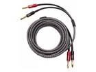 Speaker Cables –  – SPW-10FT-P