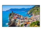 LCD/LED Large Format Displays –  – TH-75EQ2W