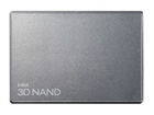 Dizüstü Sabit Diskler –  – SSDPF2KX076TZ01