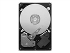Interni hard diskovi –  – ST3320311CS
