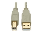 USB laidas –  – U022-006-BE