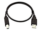 USB Káble –  – V7USB2AB-50C-1E