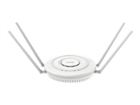 Wireless Access Point –  – DWL-6610APE