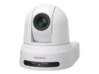 Videocamere IP –  – SRGX120W/4L
