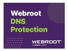 Webroot Software – 152300031H