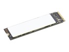 SSD disky –  – 4XB1N36076