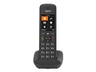 Kablosuz Telefonlar –  – S30852-H2907-C101