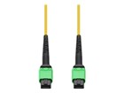 Crossover Cables –  – MFP7E30-N050-AO