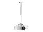 Ständer –  – KITEC045080W