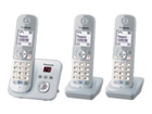 Wireless Telephones –  – KX-TG6823GS