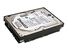 Server Hard Drives –  – 152191-001