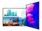 Digital Signage Display –  – 998-3170-00