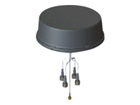 Antennes et accessoires pour réseau –  – ANT-5-4G2WL2G1-O=