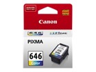 Print Cartridges –  – CL646OCN