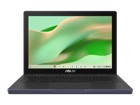 Netbooks –  – CZ1204CM2A-YZ42T