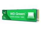 SSD, Solid State Drives –  – WDS100T3G0C